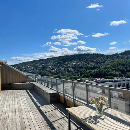 Апартаменты Penthouse -