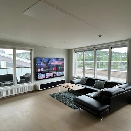 Апартаменты Penthouse - *